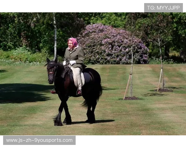 英格兰马术协会与国际马术联合会合作，举办国际马术交流活动，促进技术交流。